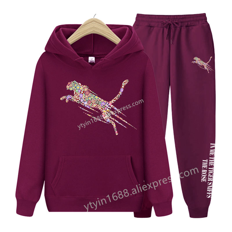 Womens TrackSuit  Aesthetic Sw - Hoodie Women Oversized 评论和价格