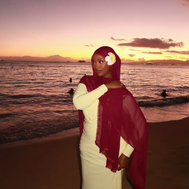 Chiffon Muslim Hijab Delicate  - Women Fashion Wear 评论和价格